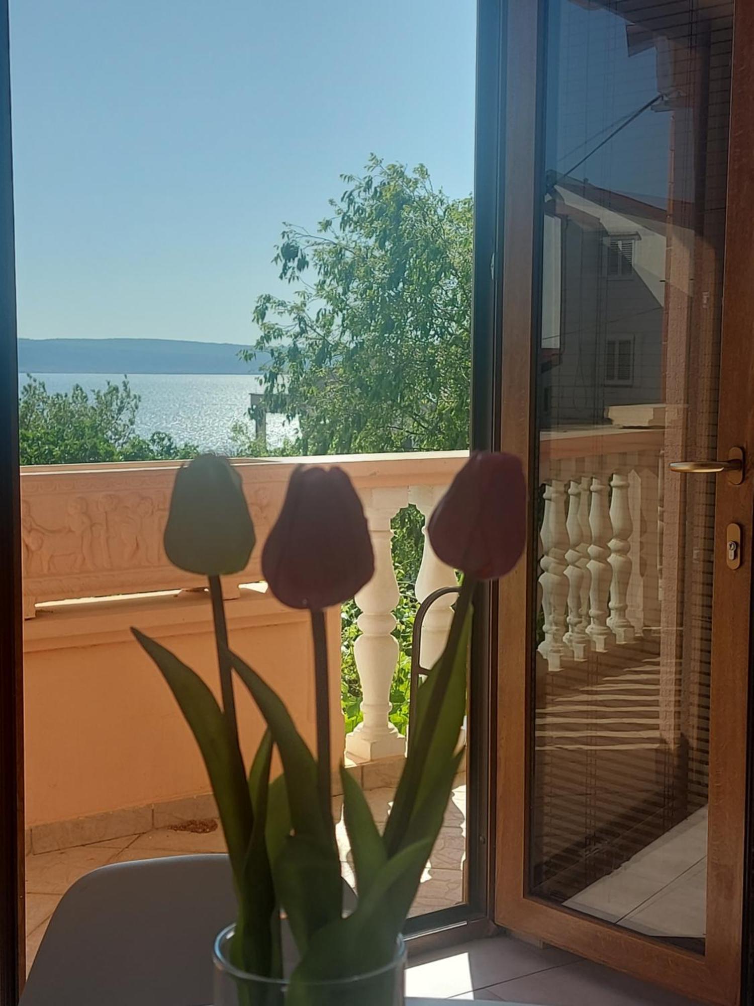 Apartment Ante And Dijana Starigrad Exterior photo