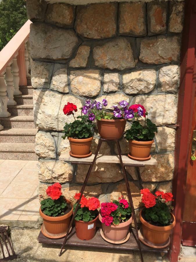 Apartment Ante And Dijana Starigrad Exterior photo